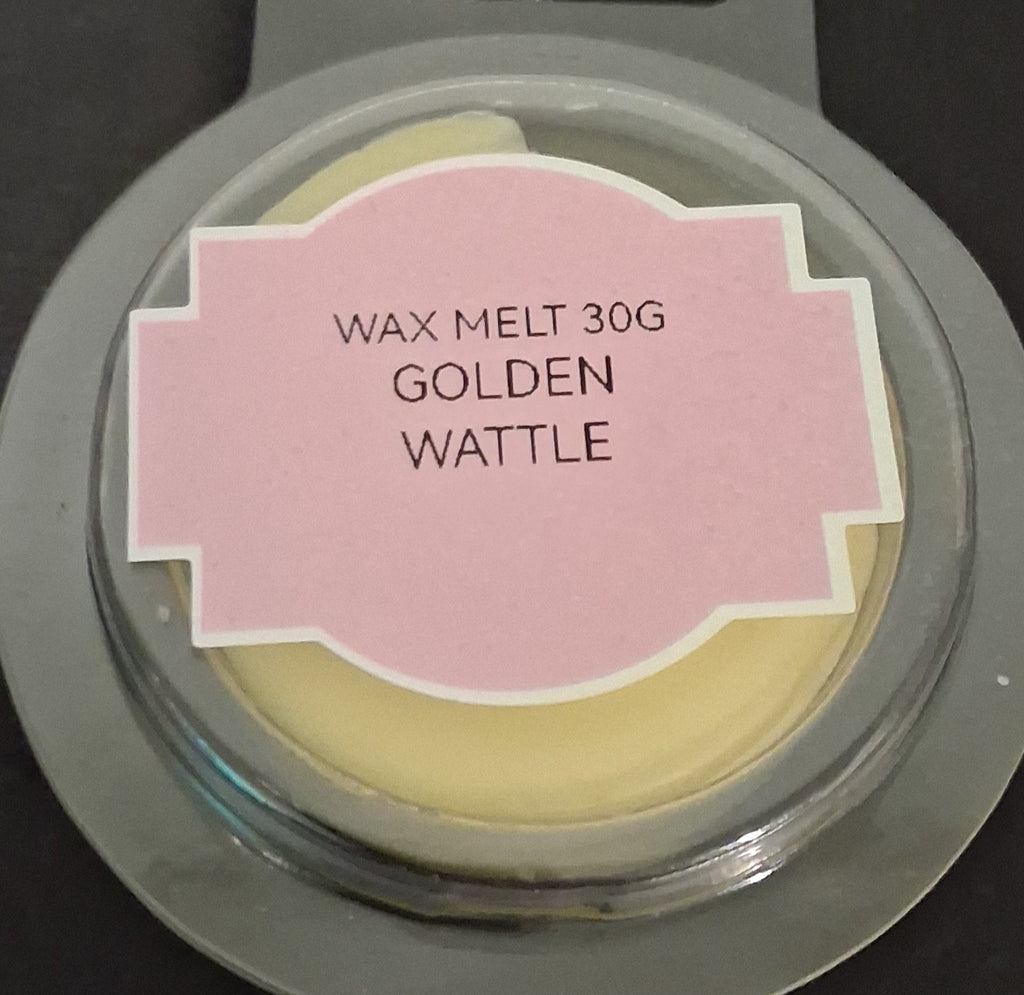30g Wax Melt pots